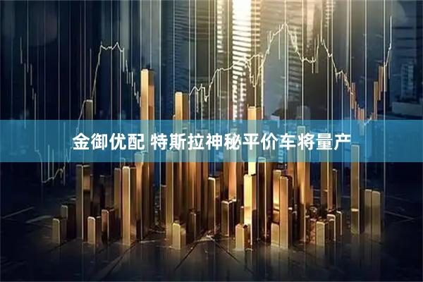 金御优配 特斯拉神秘平价车将量产