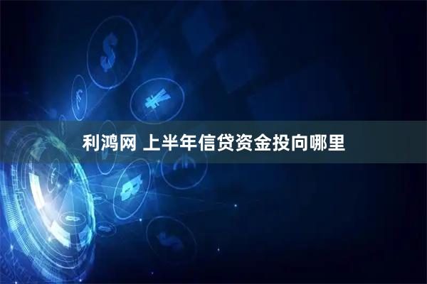 利鸿网 上半年信贷资金投向哪里
