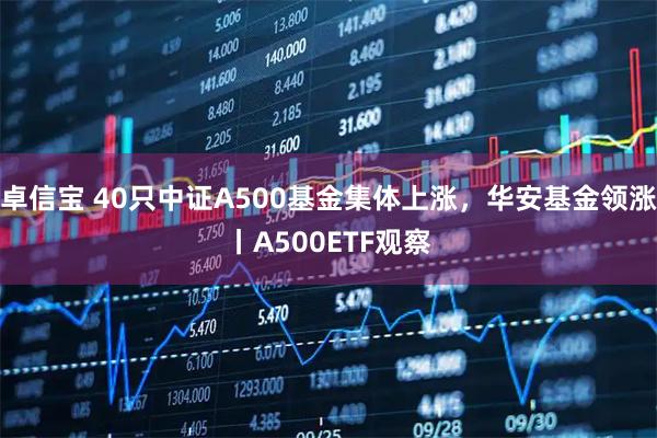 卓信宝 40只中证A500基金集体上涨,华安基金领涨丨A500ETF观察